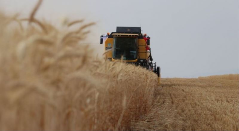 Tarımda Üretici Fiyat Endeksi Arttı